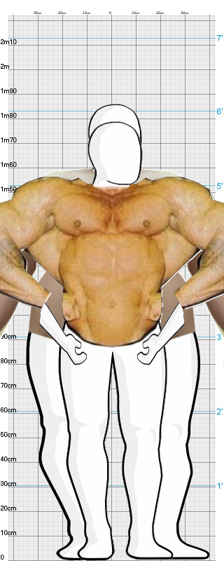 Full Size Comparison