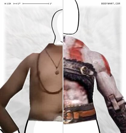 Torso Comparison