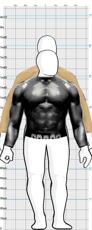 Full Size Comparison