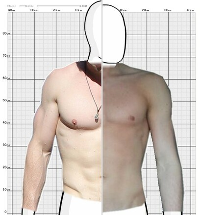 Torso Comparison