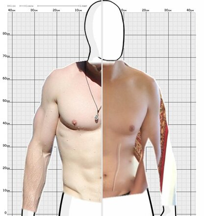 Torso Comparison