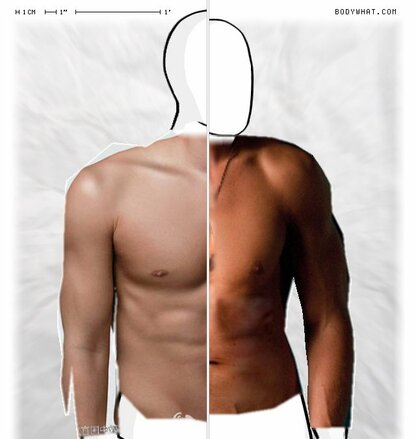 Torso Comparison