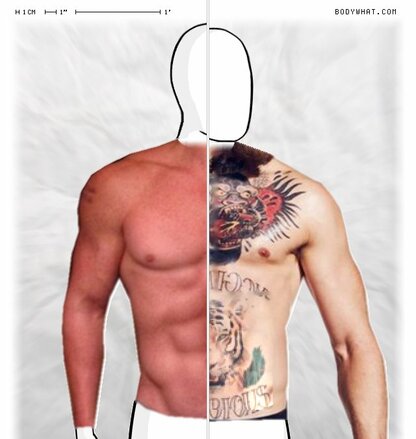 Torso Comparison