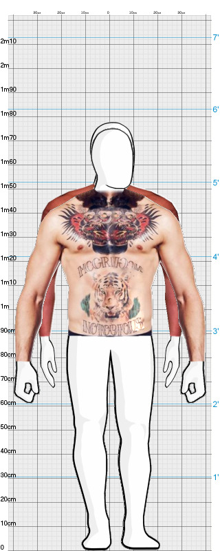 Full Size Comparison