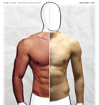 Torso Comparison