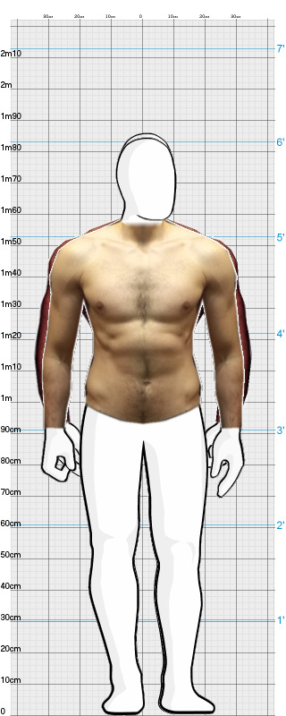 Full Size Comparison