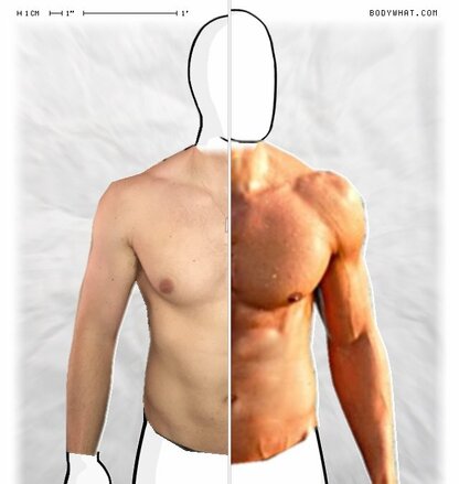 Torso Comparison