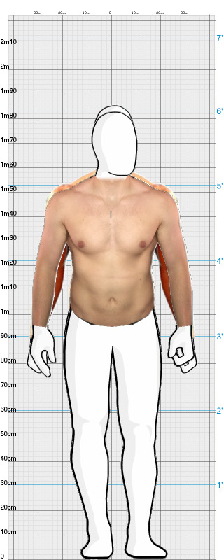 Full Size Comparison