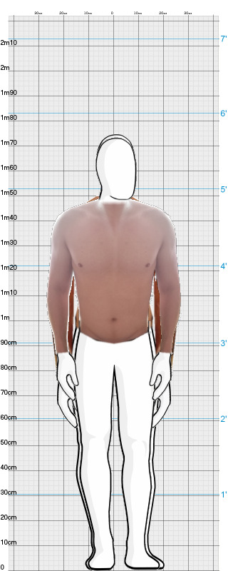 Full Size Comparison