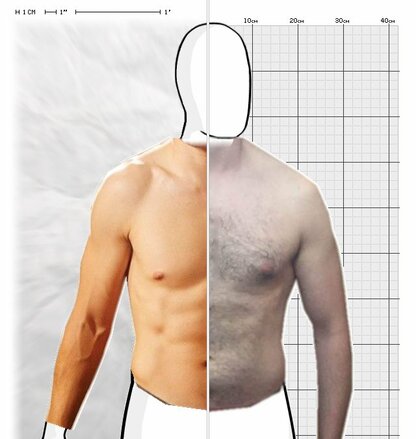 Torso Comparison
