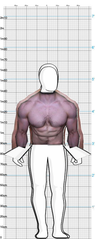 Full Size Comparison