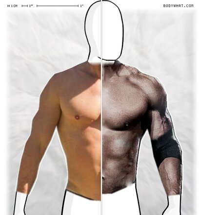 Torso Comparison