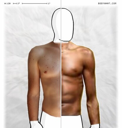 Torso Comparison