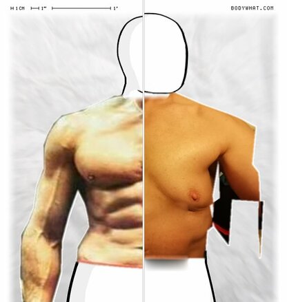 Torso Comparison