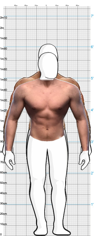 Full Size Comparison