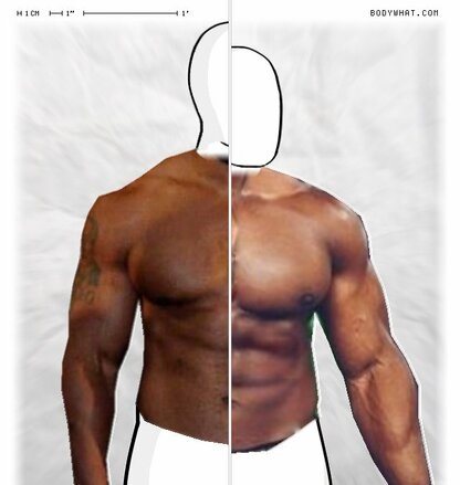 Torso Comparison