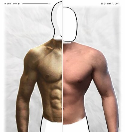 Torso Comparison