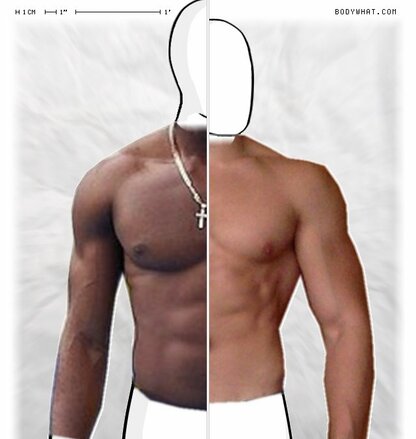 Torso Comparison