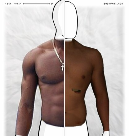 Torso Comparison