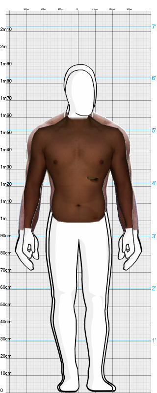 Full Size Comparison