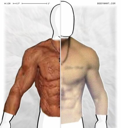 Torso Comparison