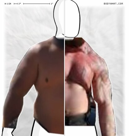 Torso Comparison