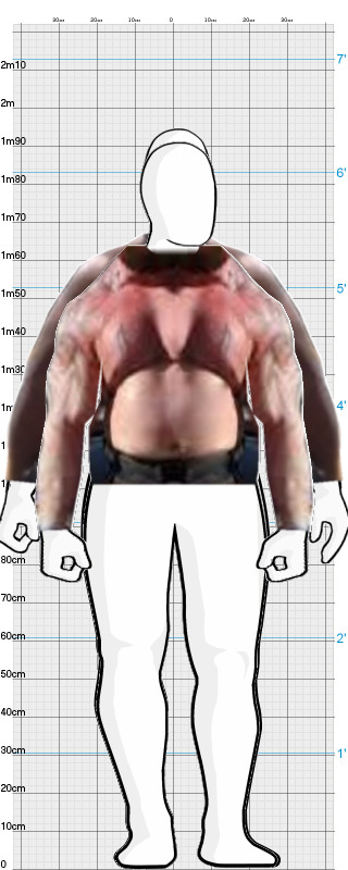 Full Size Comparison