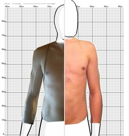 Torso Comparison