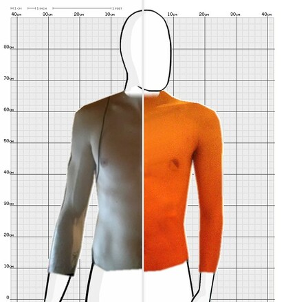 Torso Comparison