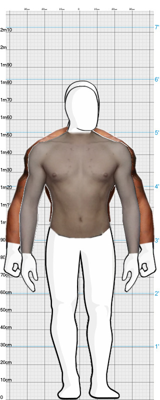 Full Size Comparison
