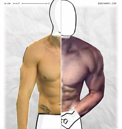Torso Comparison