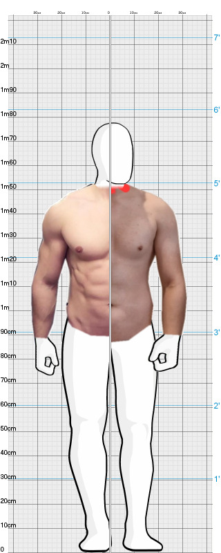 Full Size Comparison