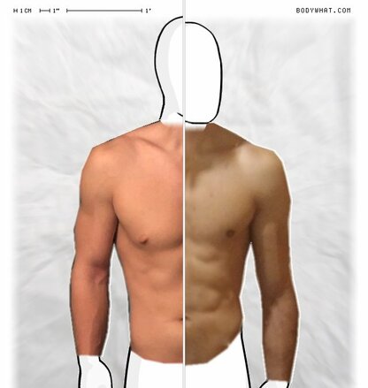 Torso Comparison
