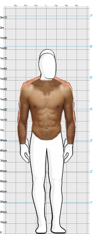 Full Size Comparison