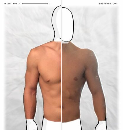 Torso Comparison