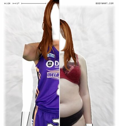 Torso Comparison