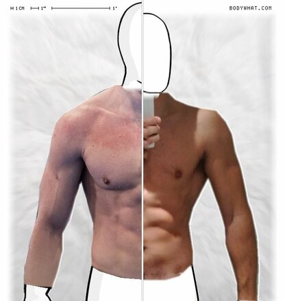 Torso Comparison