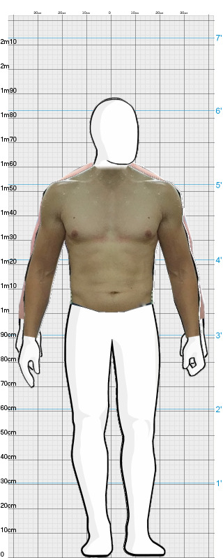 Full Size Comparison