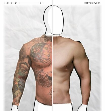 Torso Comparison