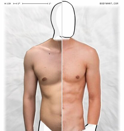 Torso Comparison