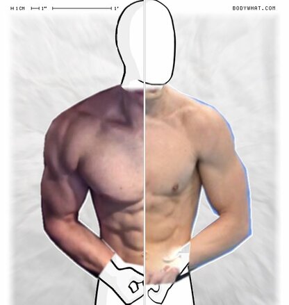 Torso Comparison