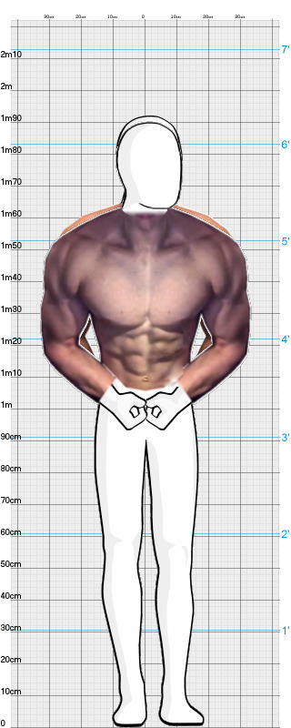 Full Size Comparison