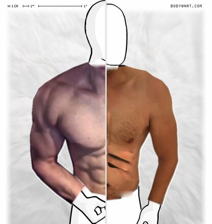 Torso Comparison