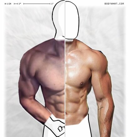 Torso Comparison