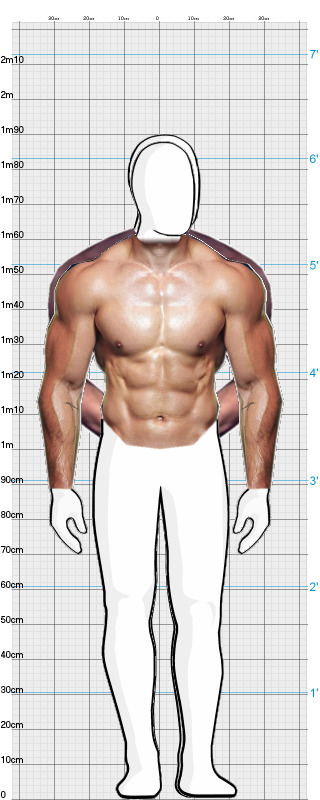 Full Size Comparison