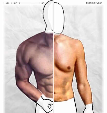 Torso Comparison