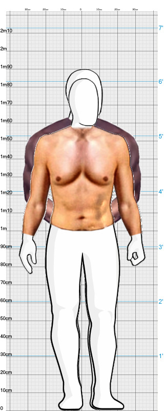 Full Size Comparison