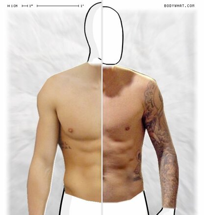 Torso Comparison