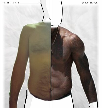 Torso Comparison