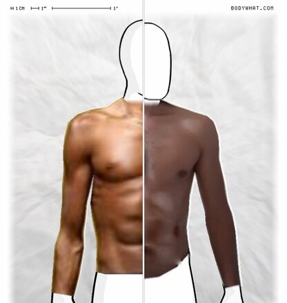 Torso Comparison